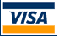 Visa Logo