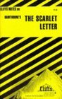 Image for Scarlet Letter Notes