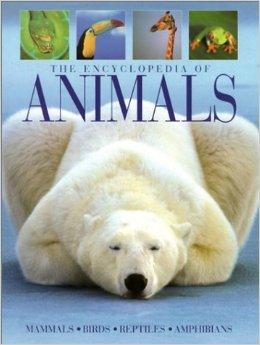 Image for The Encyclopedia of Animals: Mammals, Birds, Reptiles, Amphibians
