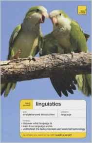 Image for Linguistics (Teach Yourself Languages)