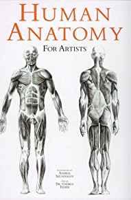 Image for Human Anatomy for Artists