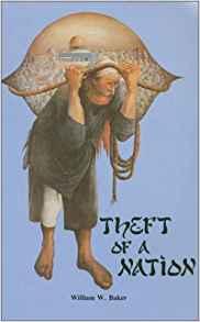 Image for Theft of a Nation