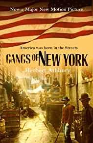 Image for The Gangs of New York -- An Informal History of the Underworld