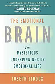 Image for The Emotional Brain: The Mysterious Underpinnings of Emotional Life