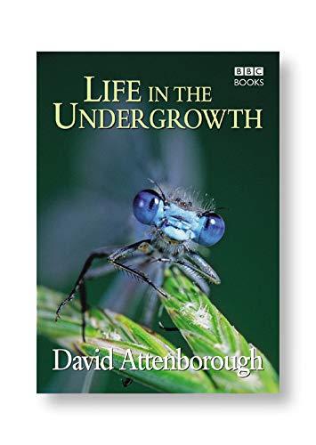 Image for Life in the undergrowth