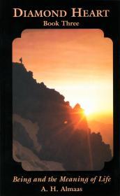 Image for Being and the Meaning of Life (Diamond Heart, Book 3)