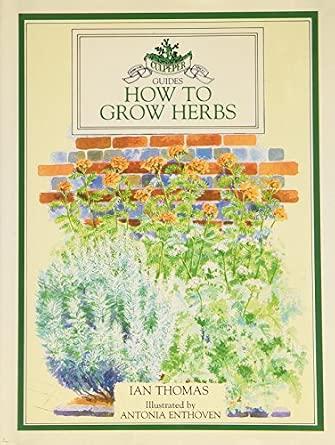 How to Grow Herbs